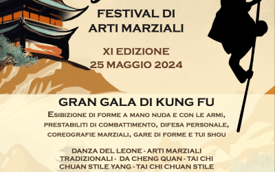 Il 25 maggio 2024: MEI Festival di Arti Marziali a sostegno di Peter Pan!