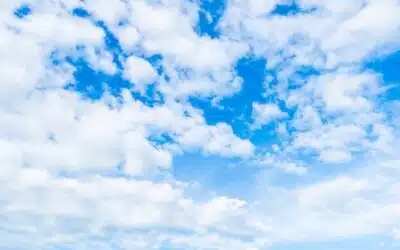 In memoria di Angelo Falessi